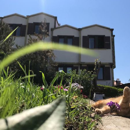 Apollon Hotel Bozcaada Luaran gambar